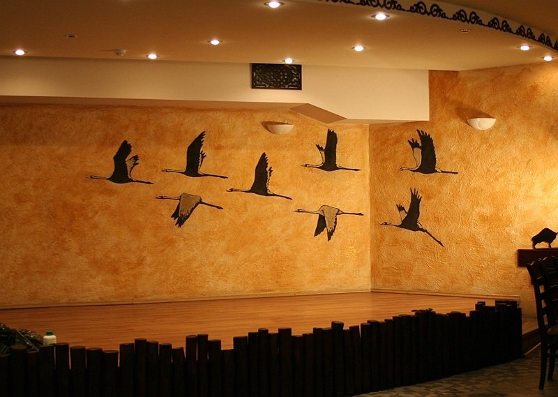 photo.jpg
